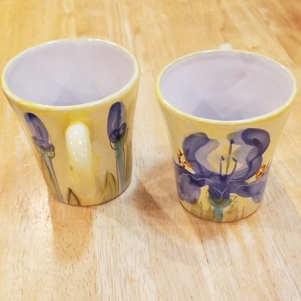 🔮 Gorgeous Pair of Mugs in Iris pattern